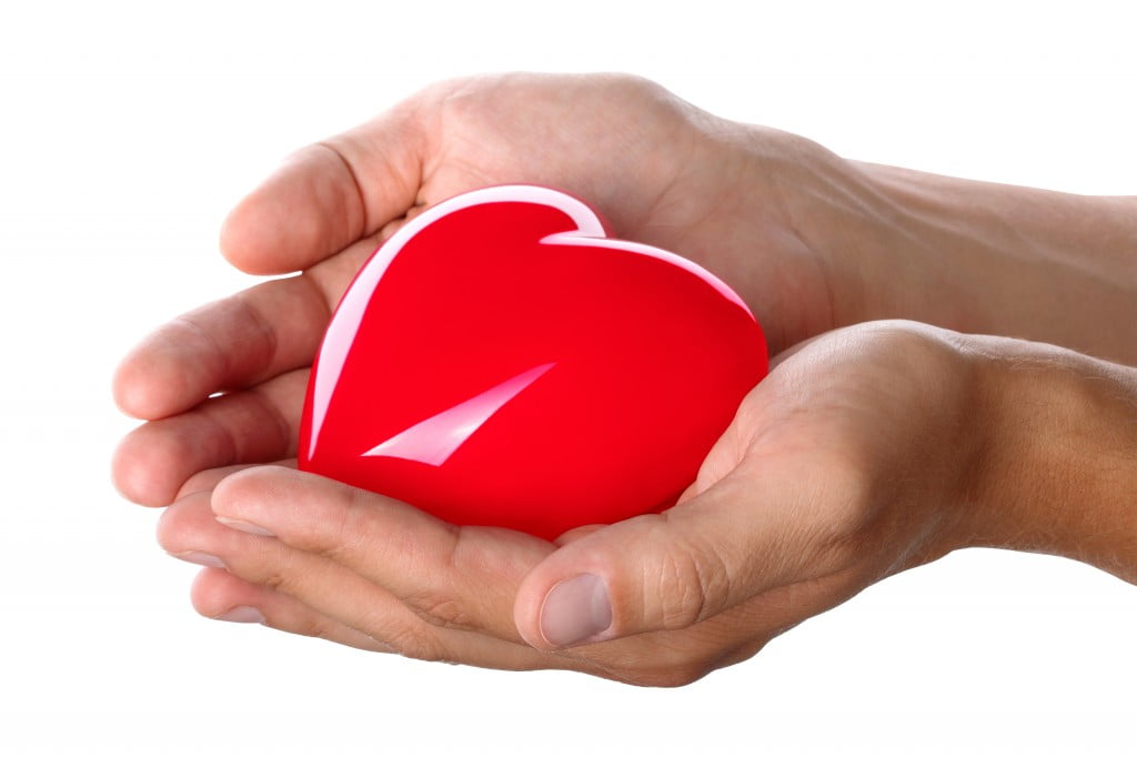 organ and tissue donation: hands holding red heart