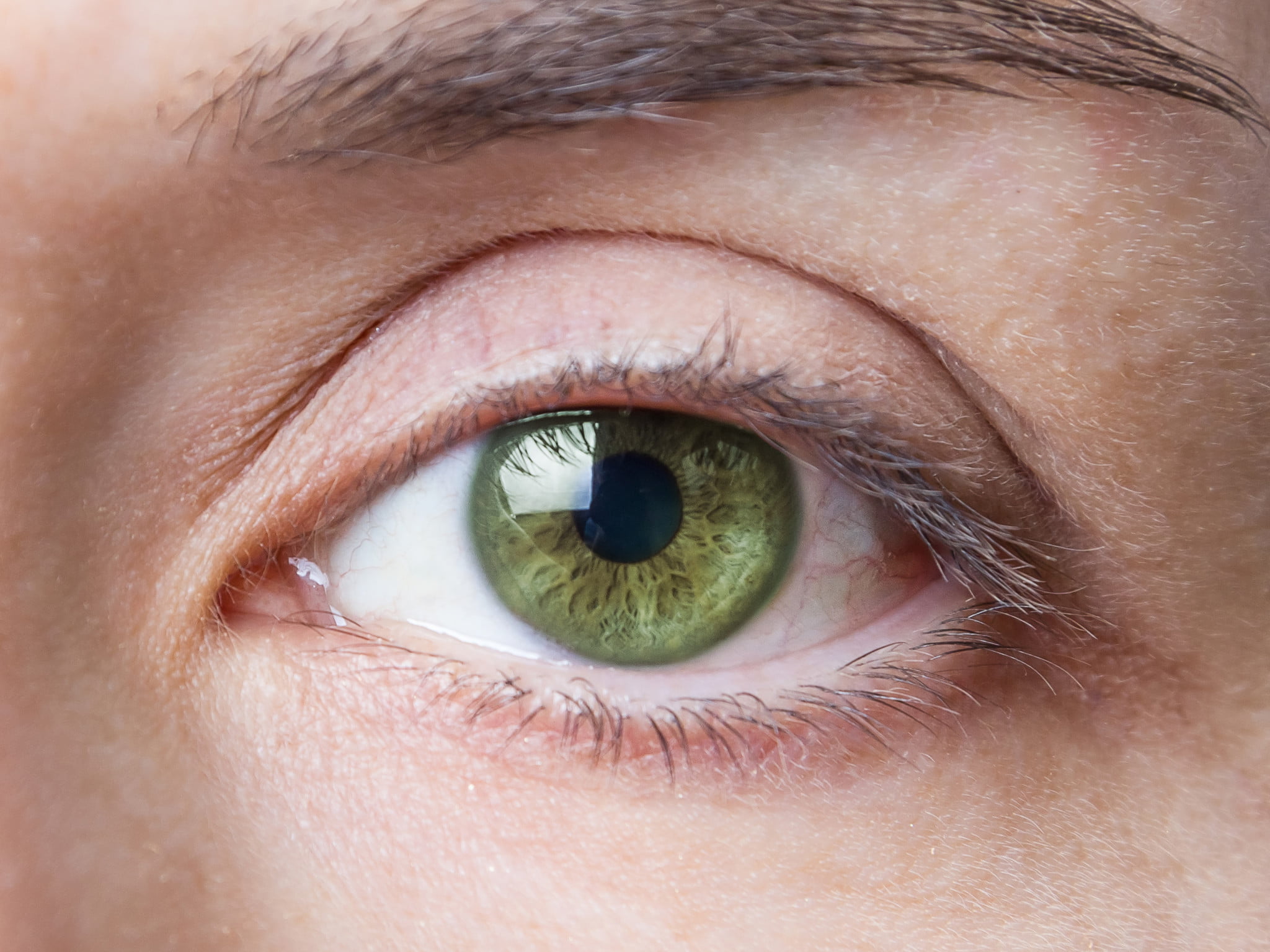 close up of green eye
