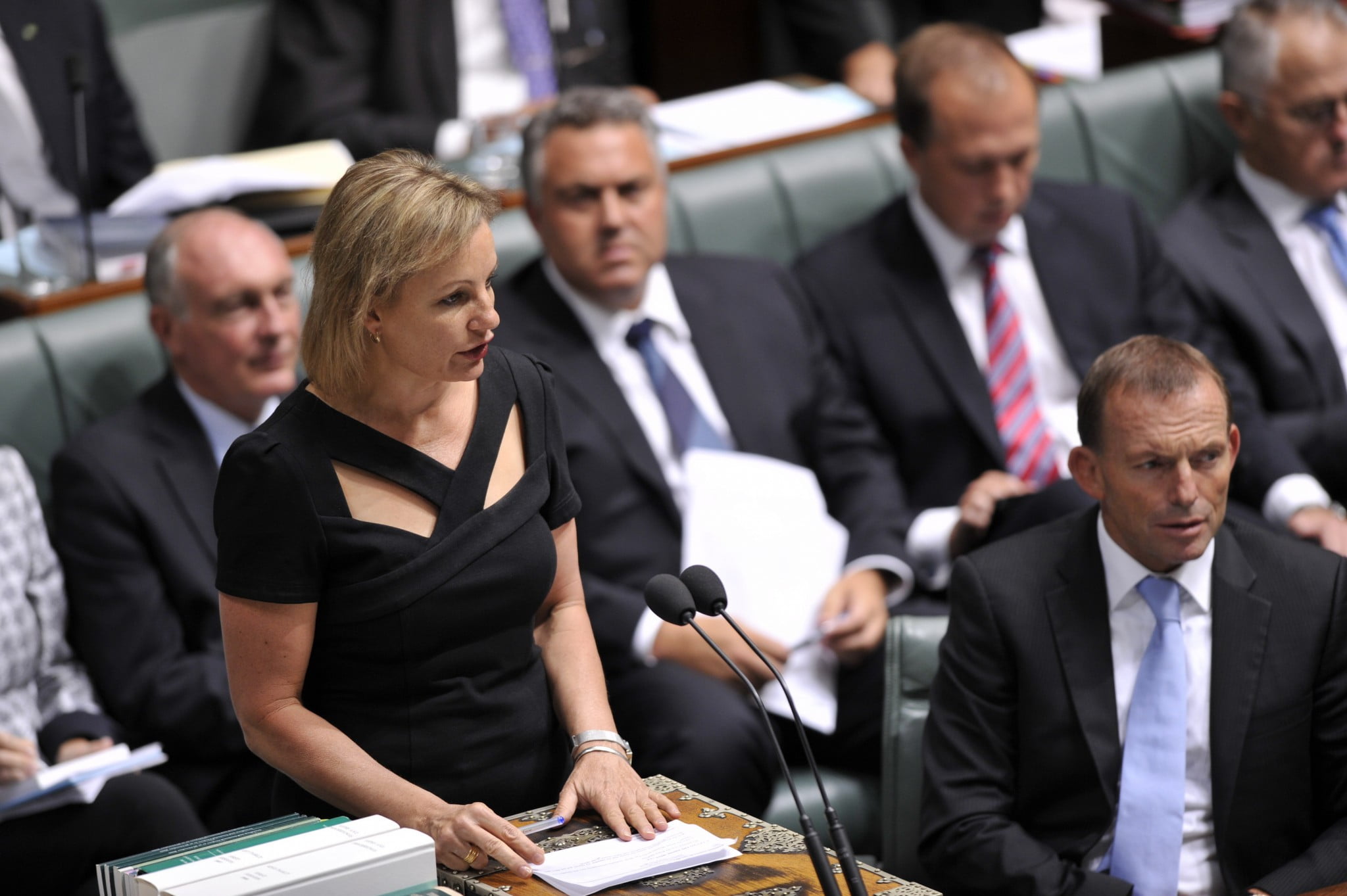 Pharmacy story: Sussan ley in parliament (in opposition)