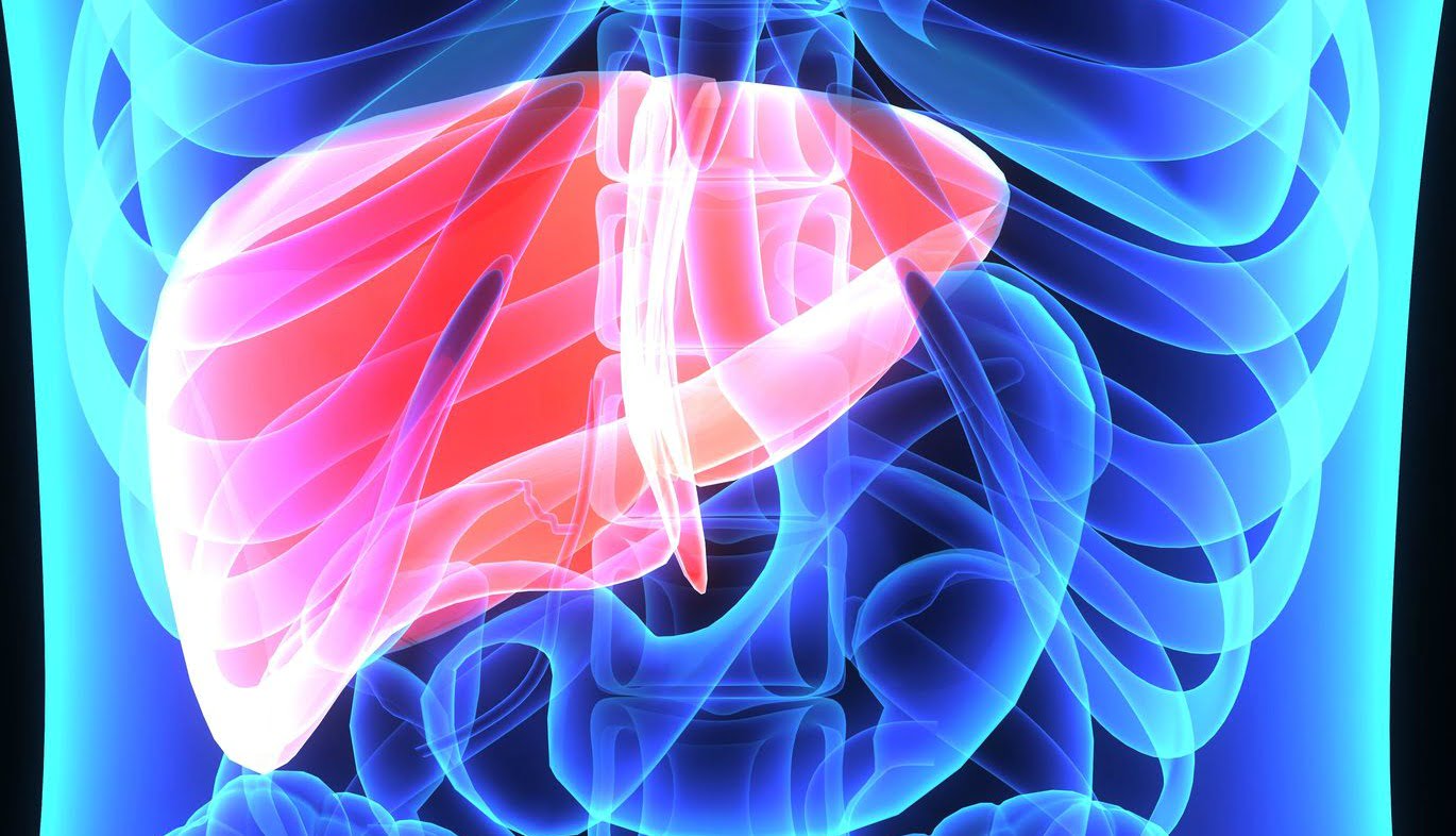 hepatitis C: bright pink 3D liver in blue body