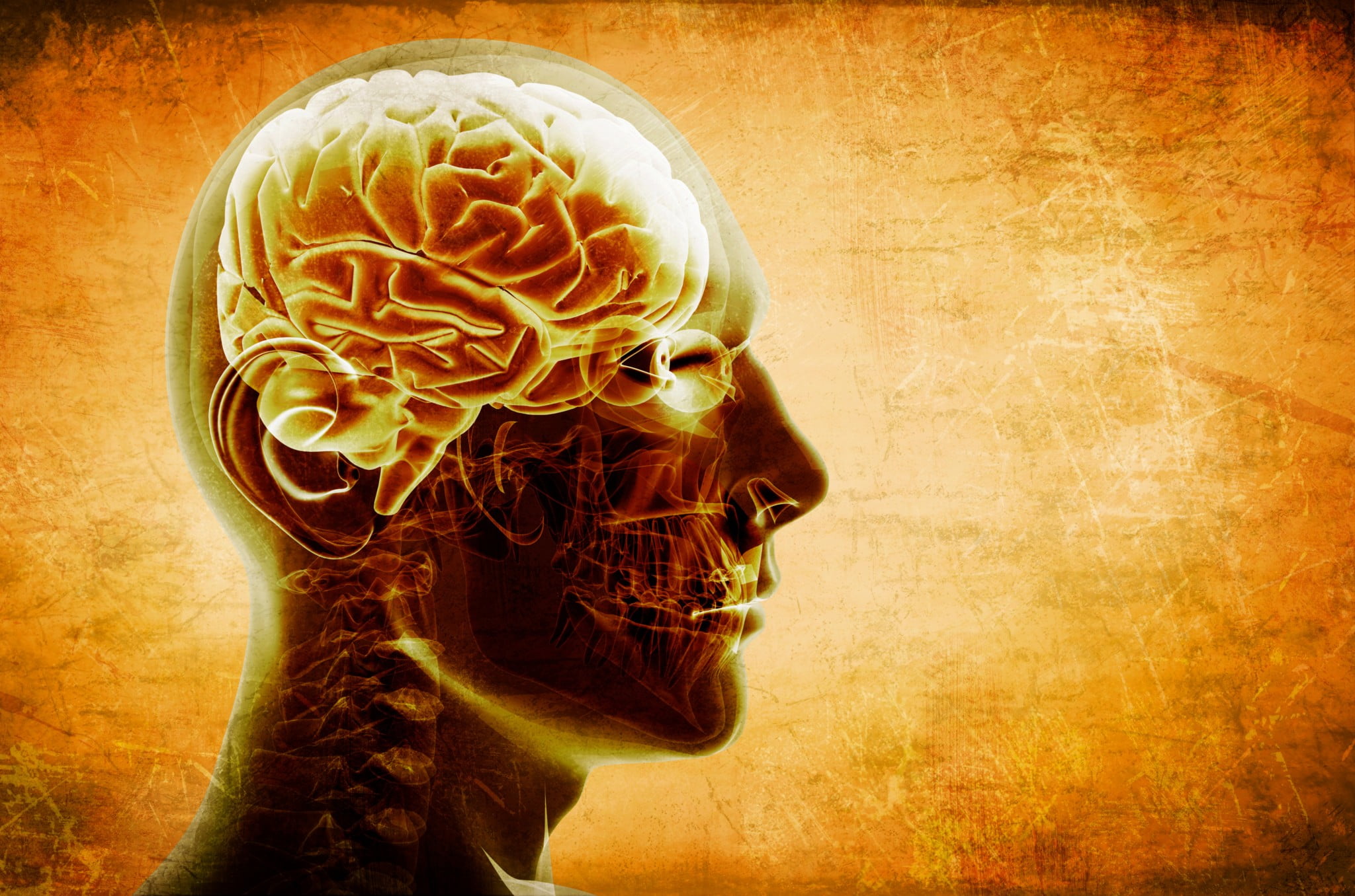 head with 3D rendering of brain in orange