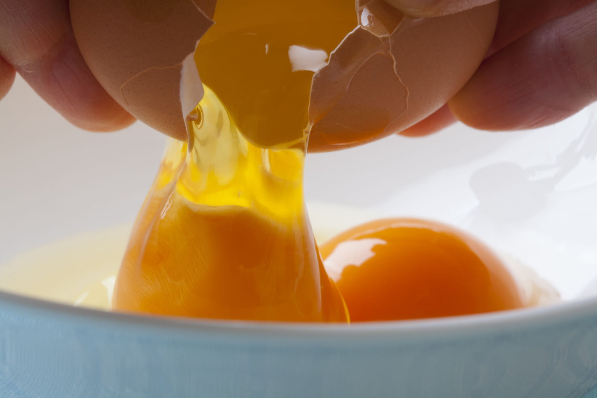 raw egg food poisoning