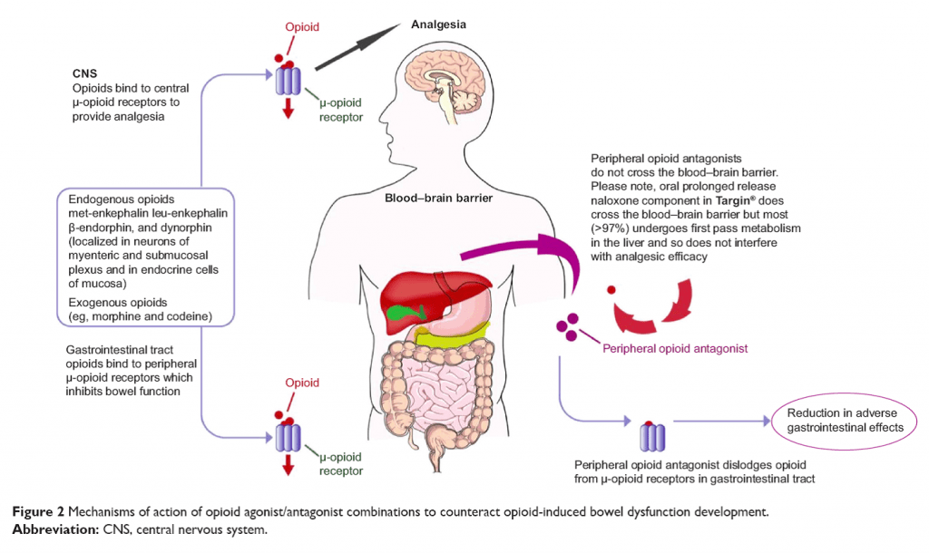 Clinical tips: opioids and gastrointestinal issues | AJP