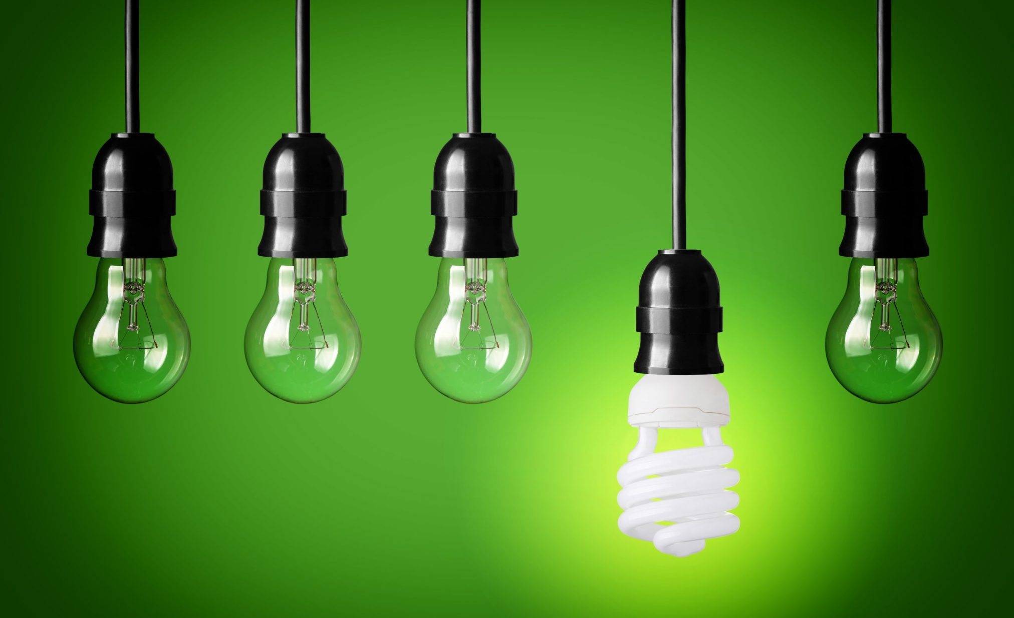 20191453 - idea concept with light bulbs and energy save bulb green background
