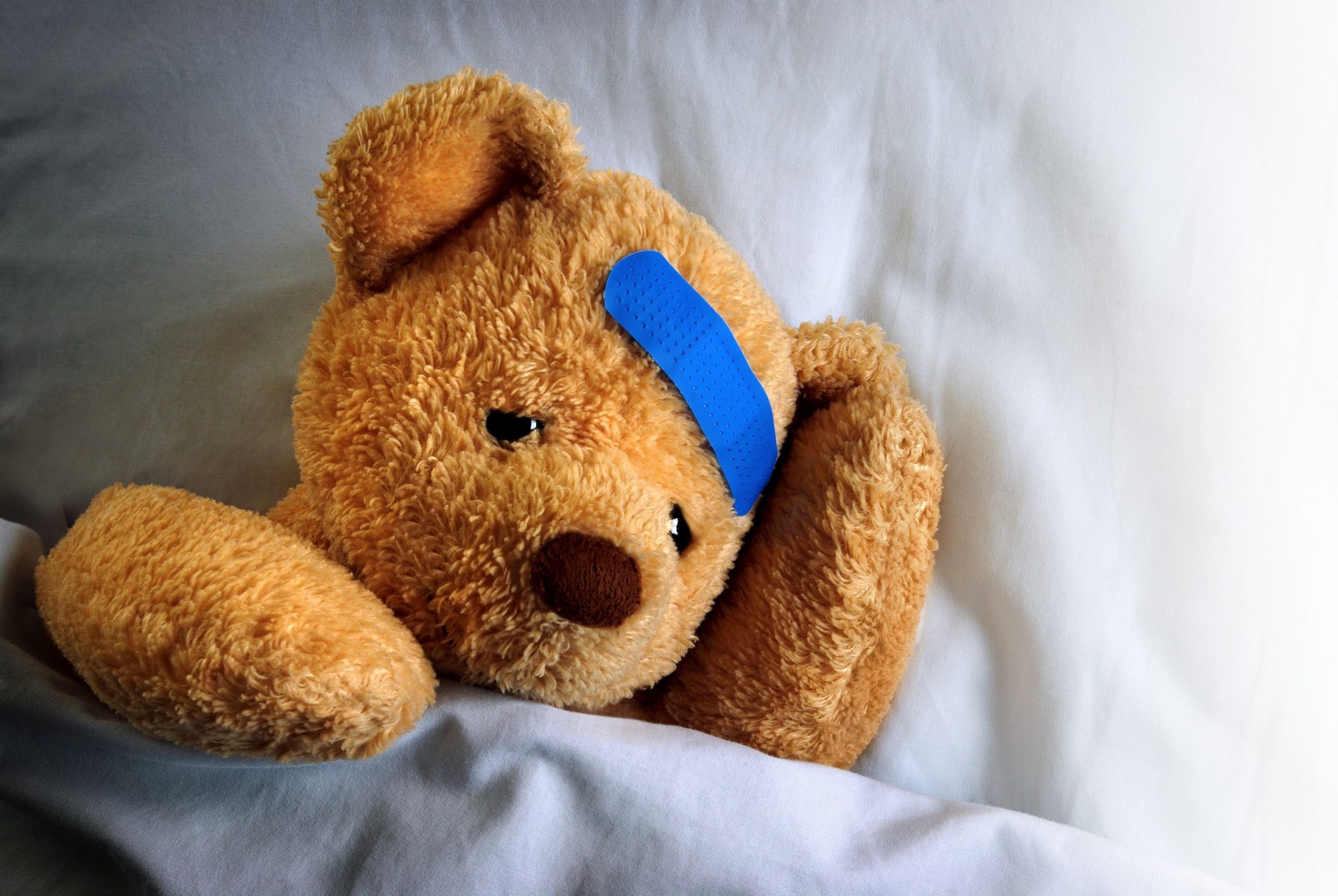 teddy bear with band-aid on head